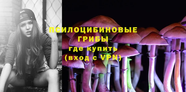 трава Заволжск